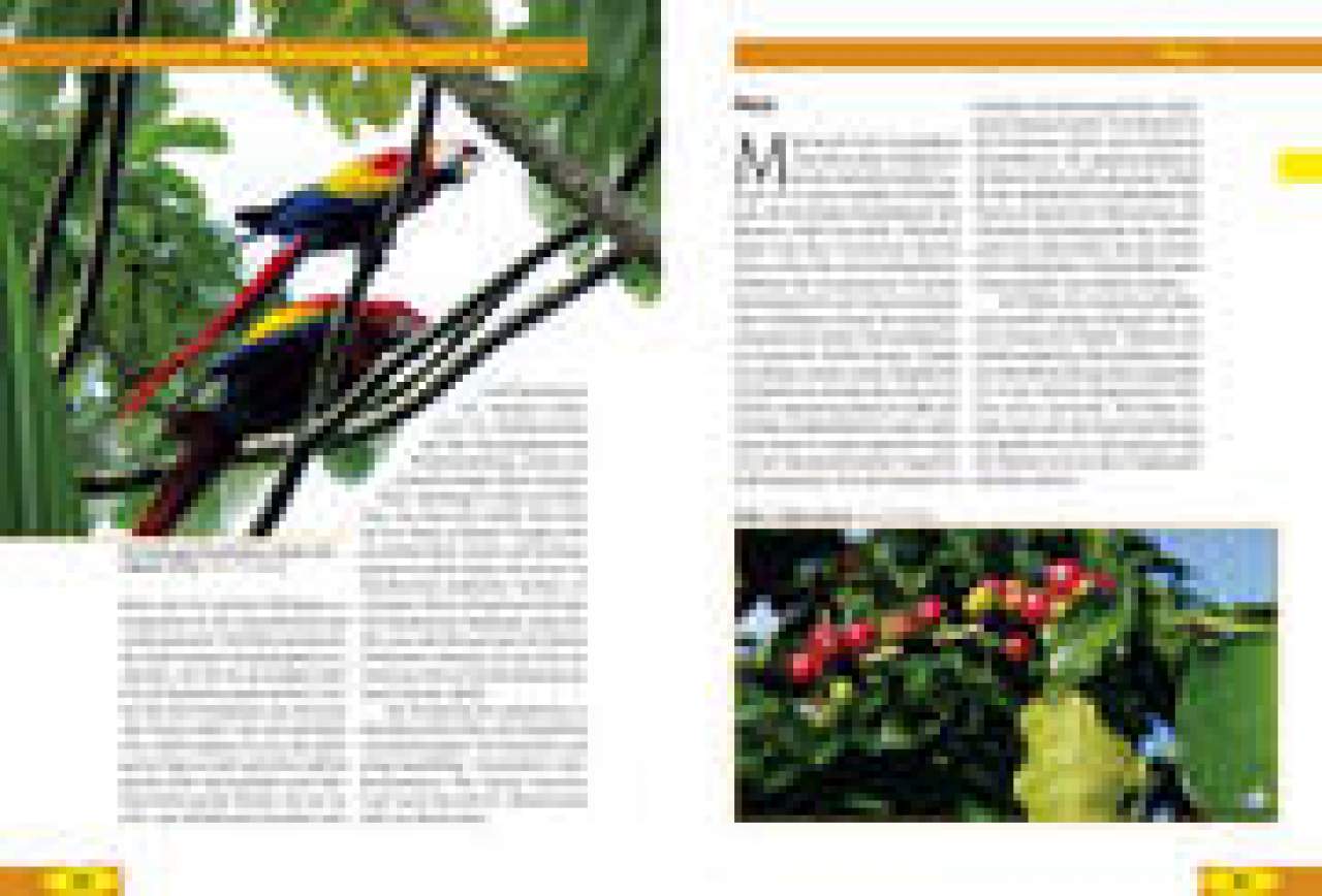 Costa Rica – Naturreiseführer